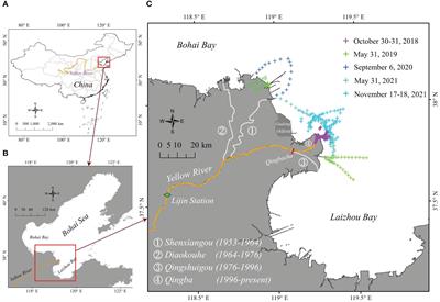 Remote sensing of suspended particulate matter concentrations in the Yellow River Estuary, China: algorithm development, long-term dynamics and driving mechanisms